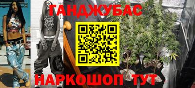 прущие грибы Канаш
