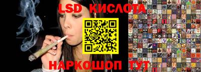 прущие грибы Канаш