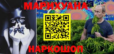 прущие грибы Канаш