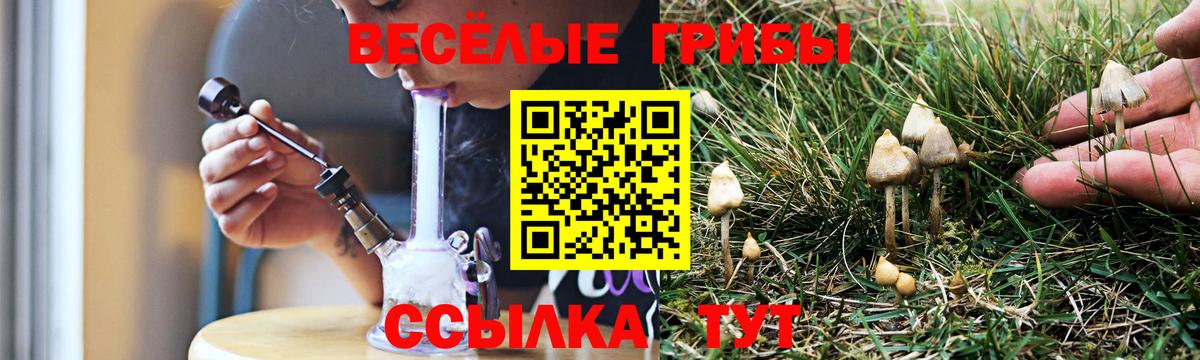 как найти закладки  Псилоцибиновые грибы GOLDEN TEACHER  Омск  Вход с VPN  Псилоцибиновые грибы мухоморы 